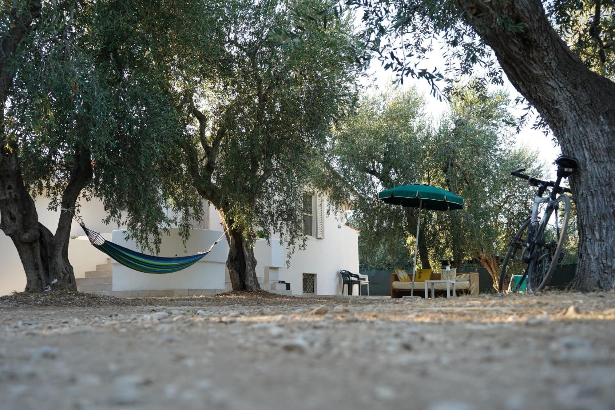 Olive&Sea Villa-Olive Mattinata Exterior foto