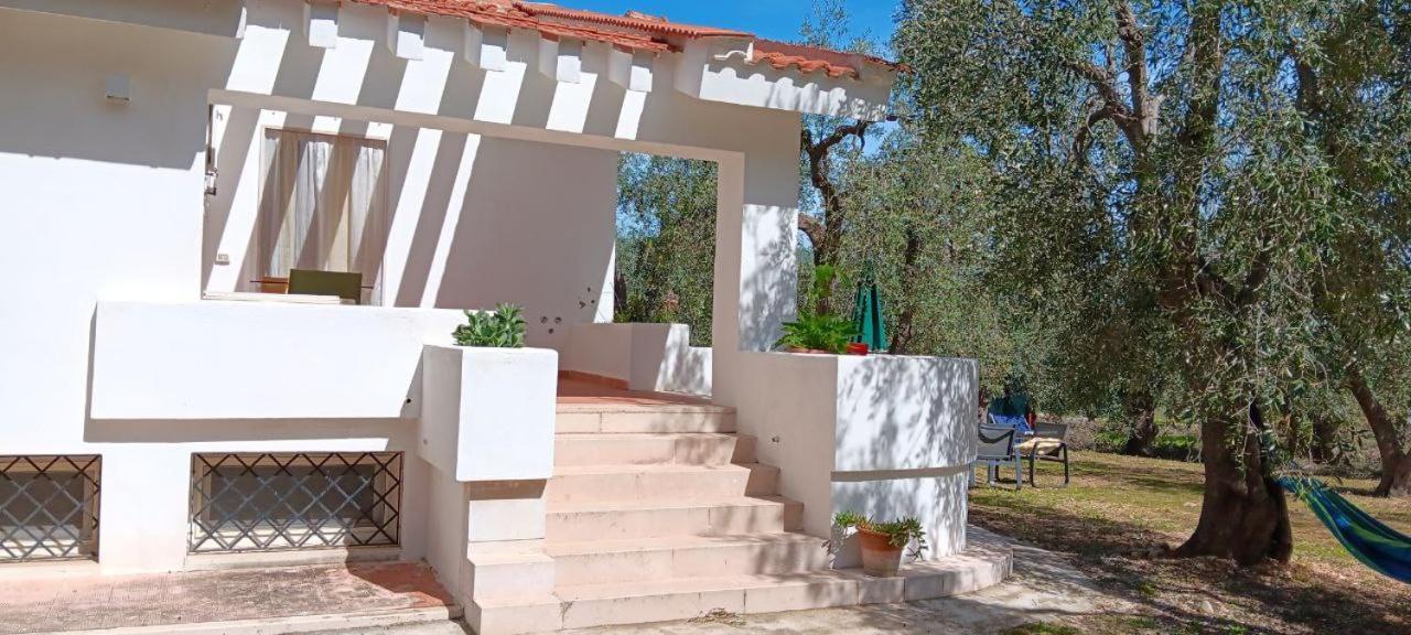 Olive&Sea Villa-Olive Mattinata Exterior foto